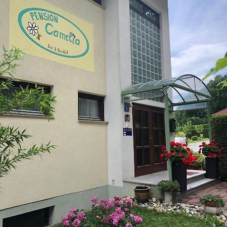 Haus Camelia Acomodação com café da manhã Bad Tatzmannsdorf Exterior foto