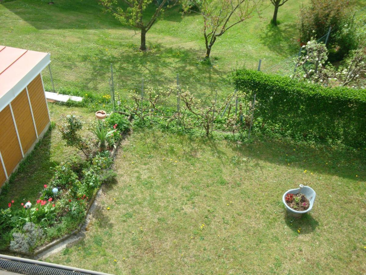 Haus Camelia Acomodação com café da manhã Bad Tatzmannsdorf Exterior foto