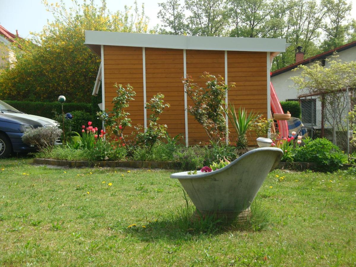 Haus Camelia Acomodação com café da manhã Bad Tatzmannsdorf Exterior foto
