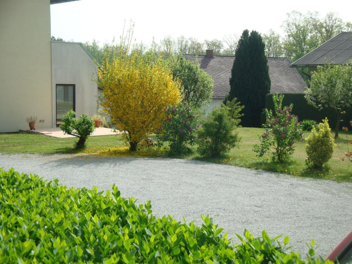 Haus Camelia Acomodação com café da manhã Bad Tatzmannsdorf Exterior foto