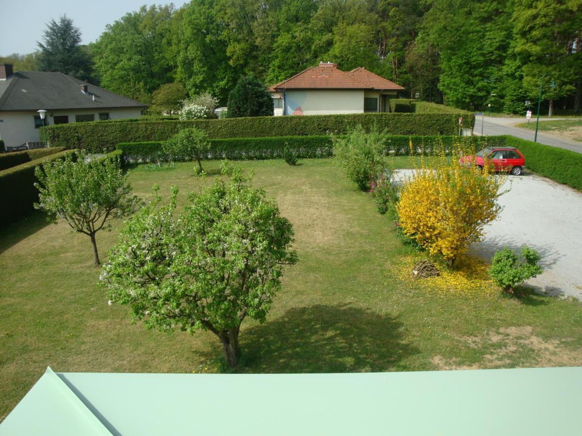 Haus Camelia Acomodação com café da manhã Bad Tatzmannsdorf Exterior foto